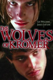 The Wolves of Kromer 1998 one on netflix