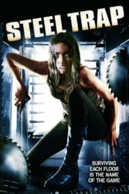 Steel Trap 2007 one on netflix