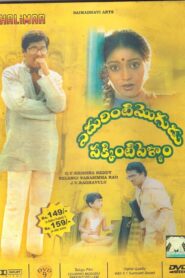 Edurinti Mogudu Pakkinti Pellam 1991 one on netflix