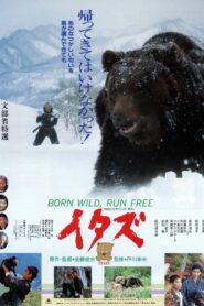 The Forest of the Little Bear 1987 one on netflix
