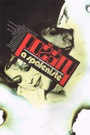 Požáry a spáleniště 1981 one on netflix