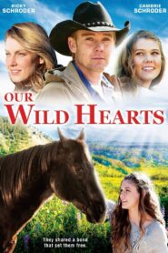 Our Wild Hearts 2013 one on netflix