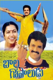 Bala Gopaludu 1989 one on netflix