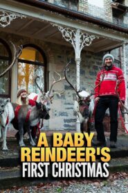 A Baby Reindeer’s First Christmas 2020 one on netflix