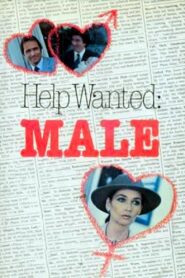 Help Wanted: Male 1982 one on netflix