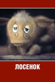 Losyonok 1984 one on netflix
