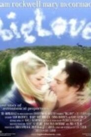 BigLove 2001 one on netflix