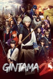 Gintama 2: Rules are Made to Be Broken 2018 one on netflix