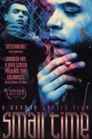 Small Time 1990 one on netflix