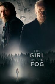 The Girl in the Fog 2017 one on netflix