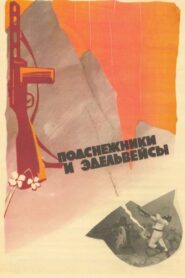 Snowdrops and Edelweiss 1982 one on netflix