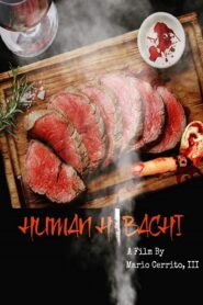 Human Hibachi 2020 one on netflix