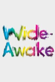 Wide-Awake 2012 one on netflix