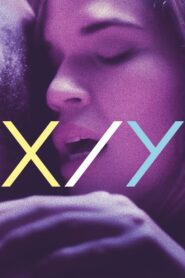X/Y 2014 one on netflix