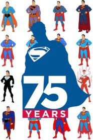 Superman 75 2013 one on netflix