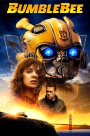 Bumblebee 2018 one on netflix