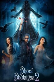Bhool Bhulaiyaa 2 2022 one on netflix
