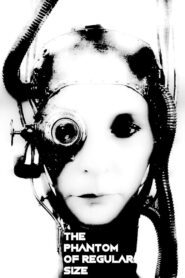 The Phantom of Regular Size 1986 one on netflix