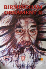 Birmingham Ornament 2 2013 one on netflix