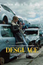 Desguace 2022 one on netflix