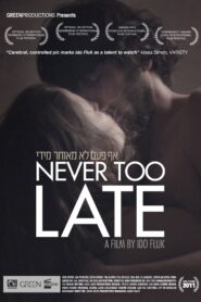 Never Too Late 2011 one on netflix
