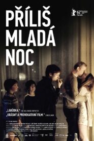 A Night Too Young 2012 one on netflix