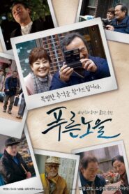 Magic hour 2017 one on netflix