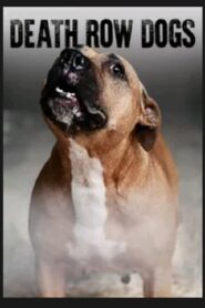 Death Row Dogs 2012 one on netflix