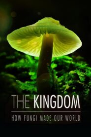 The Kingdom: How Fungi Made Our World 2018 one on netflix
