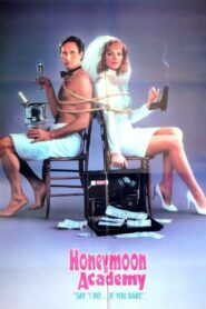 Honeymoon Academy 1989 one on netflix