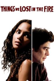 Things We Lost in the Fire 2007 one on netflix