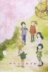 Sakura Capsule 2014 one on netflix