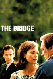 The Bridge 1999 one on netflix
