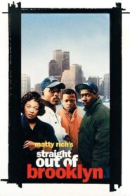 Straight Out of Brooklyn 1991 one on netflix