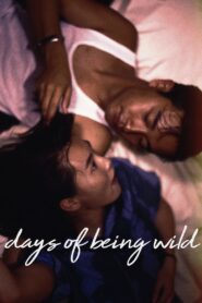 Days of Being Wild 1990 one on netflix