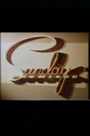 Love Match 1986 one on netflix