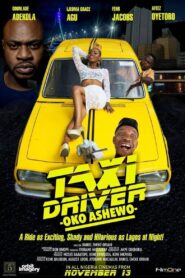 Taxi Driver: Oko Ashewo 2015 one on netflix