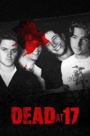 Dead at 17 2008 one on netflix