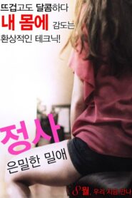 Love Affair: A Secret Affair 2016 one on netflix