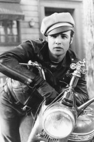 Brando: An Icon Is Born 2007 one on netflix