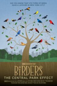 Birders: The Central Park Effect 2012 one on netflix