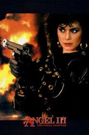 Angel III: The Final Chapter 1988 one on netflix