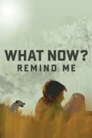 What Now? Remind Me 2014 one on netflix