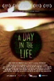 A Day in the Life 2015 one on netflix