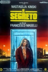 The Secret 1990 one on netflix