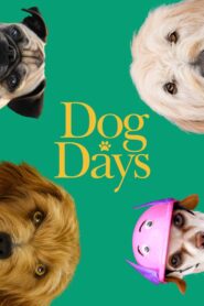 Dog Days 2018 one on netflix
