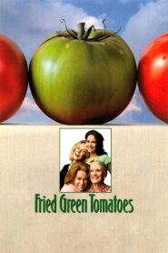 Fried Green Tomatoes 1991 one on netflix