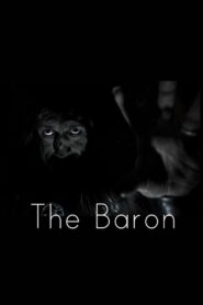 The Baron 2013 one on netflix
