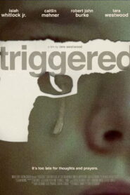 Triggered 2022 one on netflix