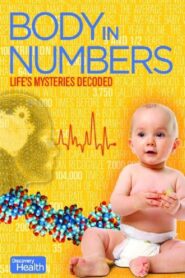 Body in Numbers 2008 one on netflix